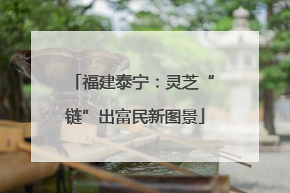 福建泰宁：灵芝“链”出富民新图景