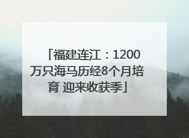 福建连江：1200万只海马历经8个月培育 迎来收获季