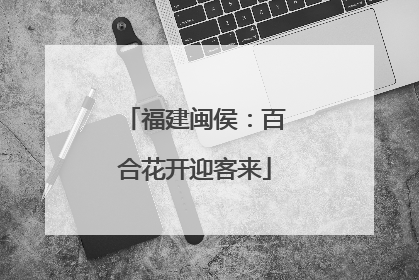 福建闽侯：百合花开迎客来