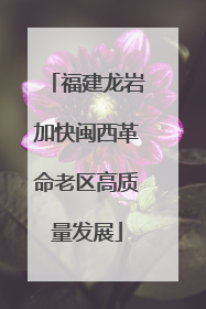 福建龙岩加快闽西革命老区高质量发展