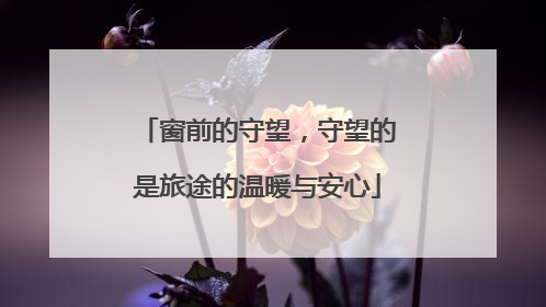 窗前的守望，守望的是旅途的温暖与安心