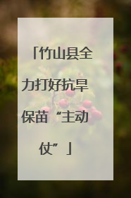 竹山县全力打好抗旱保苗“主动仗”