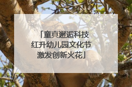 童真邂逅科技 红升幼儿园文化节激发创新火花