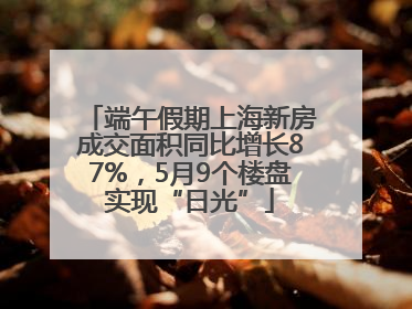 端午假期上海新房成交面积同比增长87%，5月9个楼盘实现“日光”