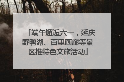 端午邂逅六一，延庆野鸭湖、百里画廊等景区推特色文旅活动