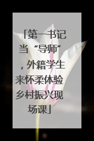 第一书记当“导师”，外籍学生来怀柔体验乡村振兴现场课