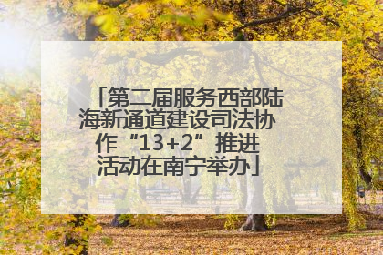 第二届服务西部陆海新通道建设司法协作“13+2”推进活动在南宁举办