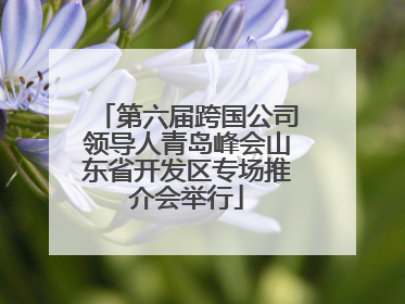 第六届跨国公司领导人青岛峰会山东省开发区专场推介会举行