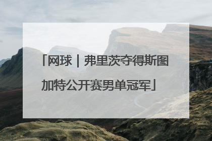 网球｜弗里茨夺得斯图加特公开赛男单冠军