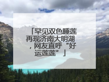 罕见双色睡莲再现济南大明湖，网友直呼“好运莲莲”