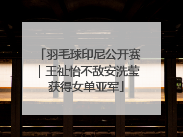 羽毛球印尼公开赛｜王祉怡不敌安洗莹 获得女单亚军