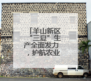 羊山新区“三夏”生产全面发力，护航农业稳产增收