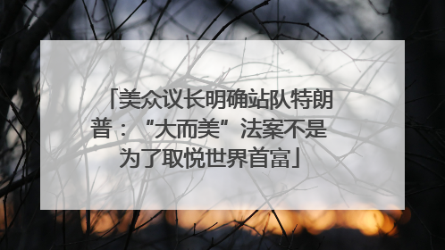 美众议长明确站队特朗普：“大而美”法案不是为了取悦世界首富