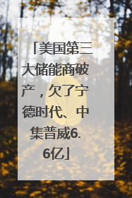 美国第三大储能商破产，欠了宁德时代、中集普威6.6亿