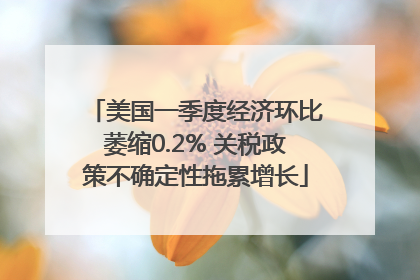 美国一季度经济环比萎缩0.2% 关税政策不确定性拖累增长