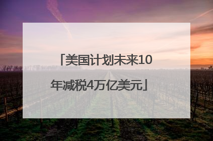 美国计划未来10年减税4万亿美元