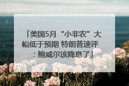 美国5月“小非农”大幅低于预期 特朗普速评：鲍威尔该降息了