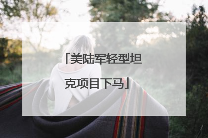 美陆军轻型坦克项目下马