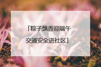 粽子飘香迎端午 交通安全进社区