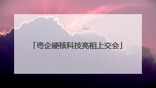 粤企硬核科技亮相上交会