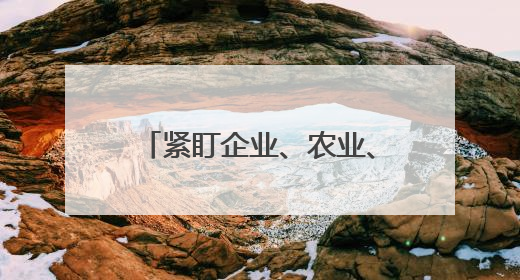 紧盯企业、农业、民生，为经济社会高质量发展保驾护航