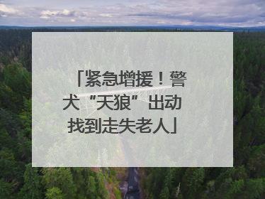 紧急增援！警犬“天狼”出动找到走失老人