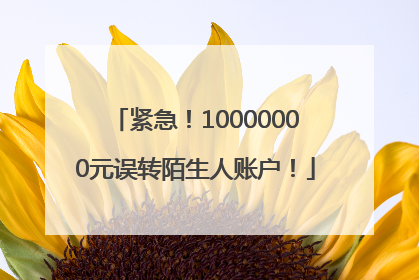 紧急！10000000元误转陌生人账户！