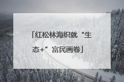 红松林海织就“生态+”富民画卷
