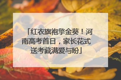 红衣旗袍擎金葵！河南高考首日，家长花式送考藏满爱与盼