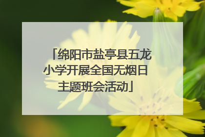 绵阳市盐亭县五龙小学开展全国无烟日主题班会活动