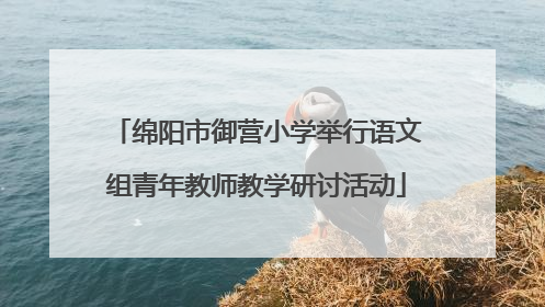 绵阳市御营小学举行语文组青年教师教学研讨活动