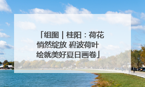 组图｜桂阳：荷花悄然绽放 碧波荷叶绘就美好夏日画卷