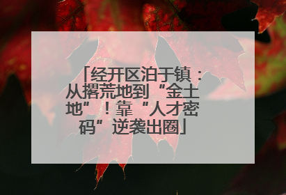 经开区泊于镇：从撂荒地到“金土地”！靠“人才密码”逆袭出圈