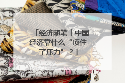 经济随笔丨中国经济靠什么“顶住了压力”？