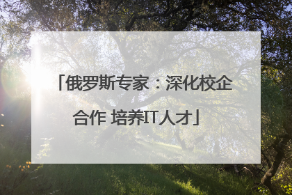 俄罗斯专家：深化校企合作 培养IT人才