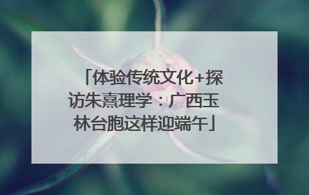体验传统文化+探访朱熹理学：广西玉林台胞这样迎端午