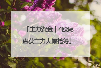 主力资金｜4股尾盘获主力大幅抢筹