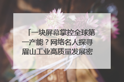 一块屏幕掌控全球第一产能？网络名人探寻眉山工业高质量发展密码｜网络名人四川行