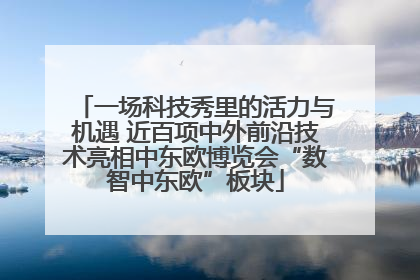 一场科技秀里的活力与机遇 近百项中外前沿技术亮相中东欧博览会“数智中东欧”板块