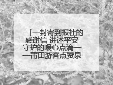 一封寄到报社的感谢信 讲述平安守护的暖心点滴——莆田游客点赞泉港民警
