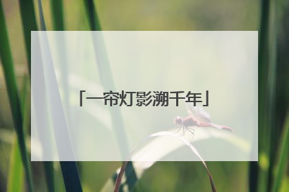 一帘灯影溯千年