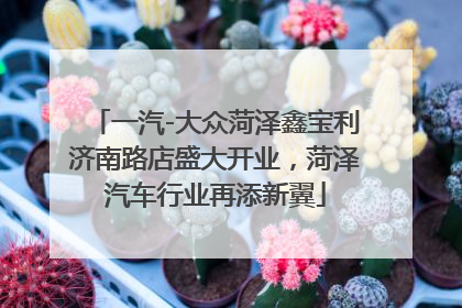 一汽-大众菏泽鑫宝利济南路店盛大开业，菏泽汽车行业再添新翼