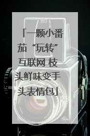 一颗小番茄“玩转”互联网 枝头鲜味变手头表情包