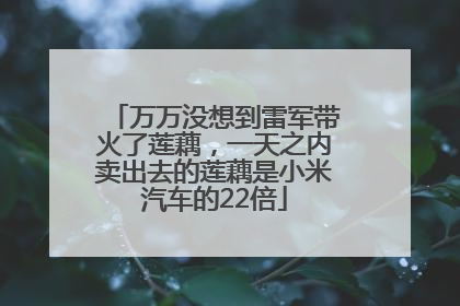 万万没想到雷军带火了莲藕，一天之内卖出去的莲藕是小米汽车的22倍