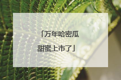 万年哈密瓜甜蜜上市了