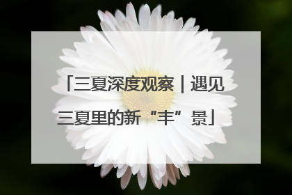 三夏深度观察｜遇见三夏里的新“丰”景