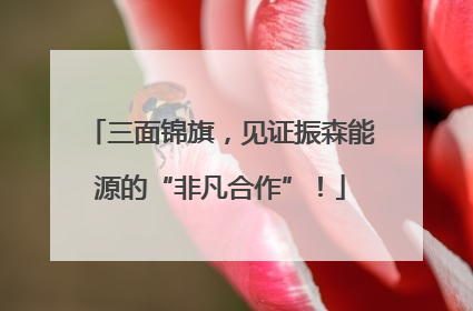 三面锦旗，见证振森能源的“非凡合作”！