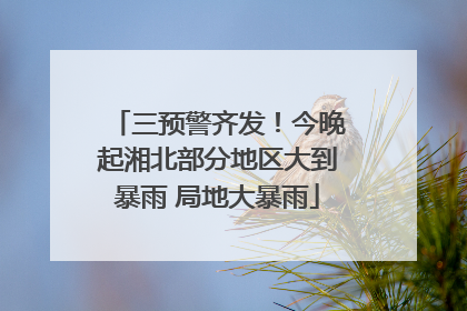 三预警齐发！今晚起湘北部分地区大到暴雨 局地大暴雨