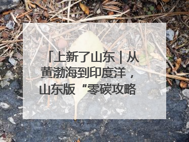 上新了山东｜从黄渤海到印度洋，山东版“零碳攻略”有多能打？