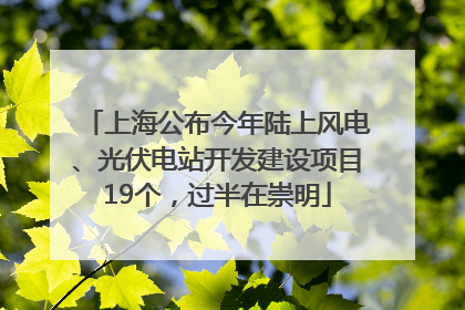 上海公布今年陆上风电、光伏电站开发建设项目19个，过半在崇明